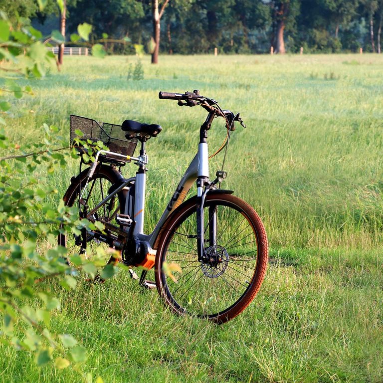 E-Bike Tiefeinsteiger Fahrrad